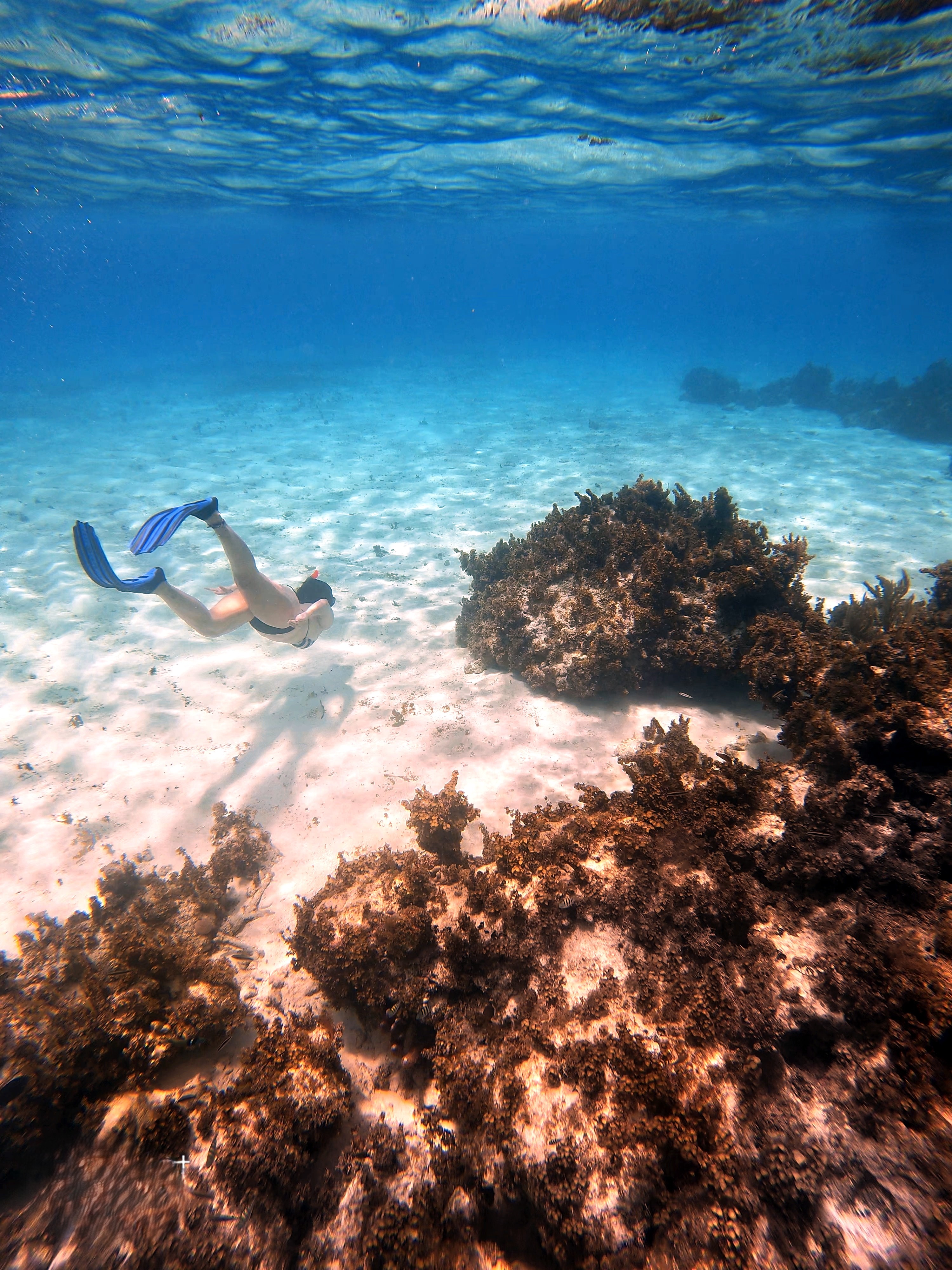 Snorkel — naturaleza y aventura